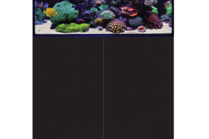 D-D Aqua-Pro Reef 900- BLACK SATIN