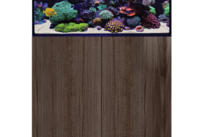 D-D Aqua-Pro Reef 900- JAPANESE PEAR GLOSS