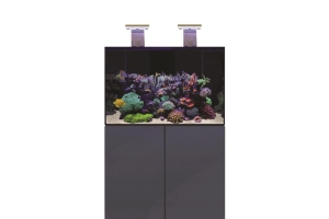 D-D Aqua-Pro Reef 900- ANTHRACITE GLOSS
