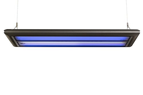 Giesemann Matrixx II