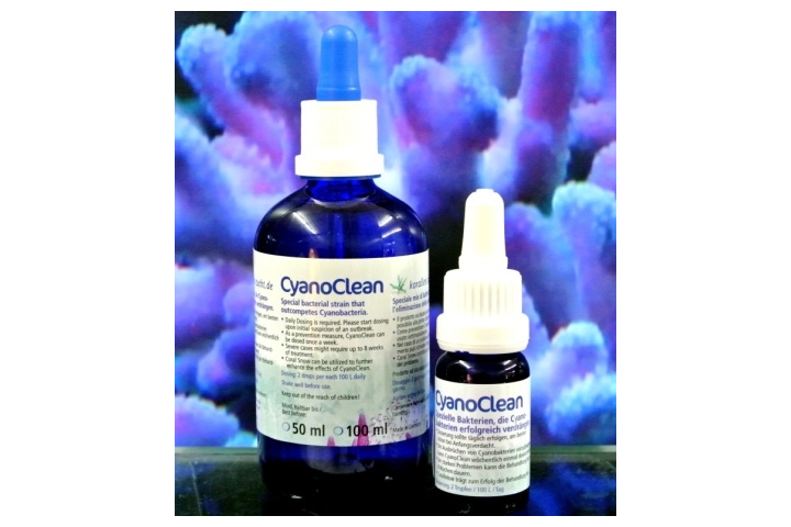 CyanoClean