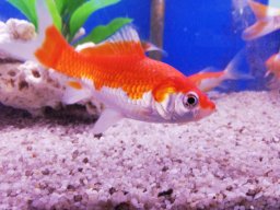 img_20190522_090412_burst001_cover