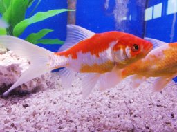 img_20190522_090446_burst001_cover