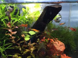 20190913182208-0f9c4220