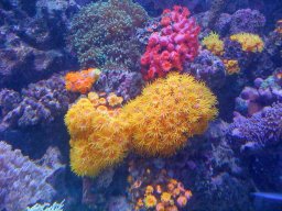 20190913182225-70ddd0b2