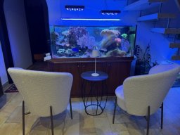 img_0910