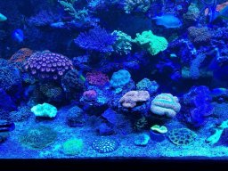 img_20190613_213344_resized_20191011_045919170