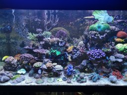 img_20190825_202451_resized_20191011_045919468