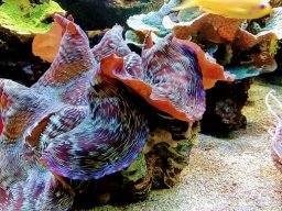 img_20180303_113720312