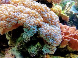 img_20180303_113745084