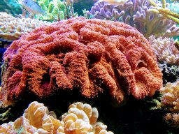 img_20180303_113759774