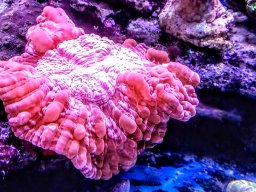 img_20180303_113836859