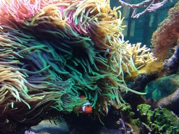 img_20180303_113911357