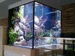 sw-barschbecken-80x80x80-1