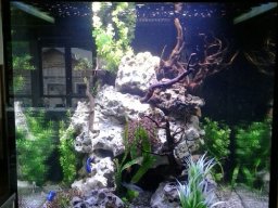 sw-barschbecken-80x80x80-3