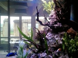 sw-barschbecken-80x80x80-4