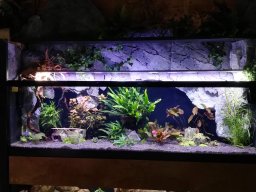 img_20190410_091208_1